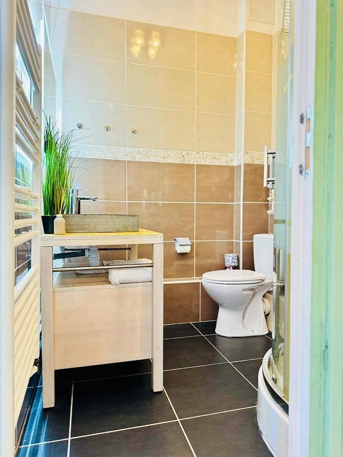 Gîte pour 3 personnes, avec terrasse à Rive-de-Gier - 2