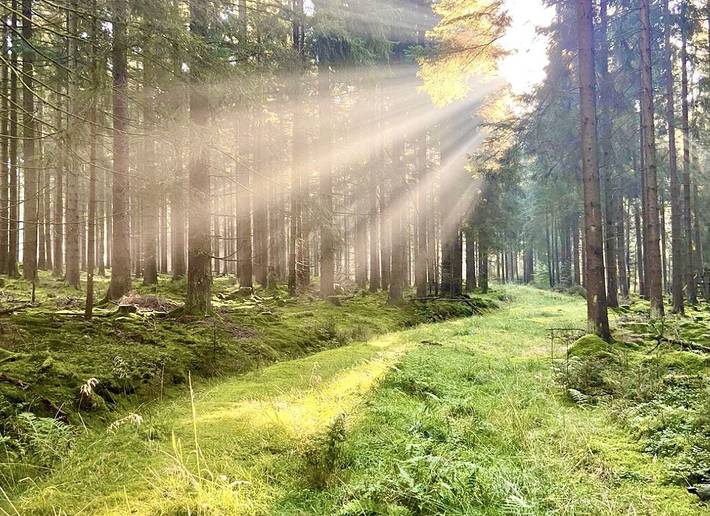 Ferienhaus für 6 Personen, mit Garten im Frankenwald - 2