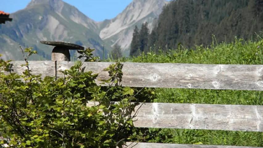Chalet für 17 Personen, mit Garten im Lechtal - 2