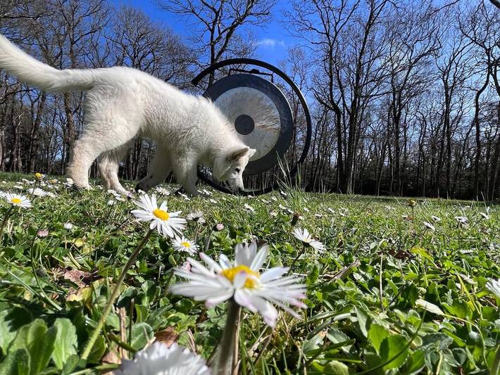 Location de vacances pour 3 personnes, avec piscine ainsi que jardin et jacuzzi à L'Éguille - 4