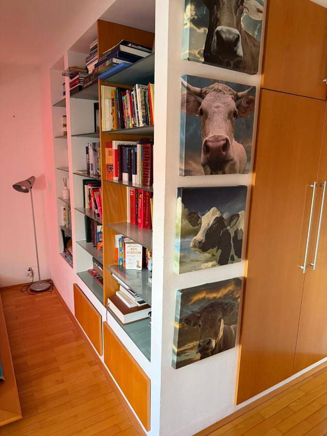 Gîte pour 4 personnes, avec vue, animaux acceptés à Kranj - 4