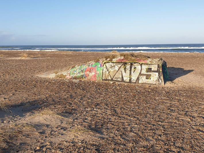 Ferienhaus für 4 Personen, mit Terrasse und Sauna in Nordjütland - 3