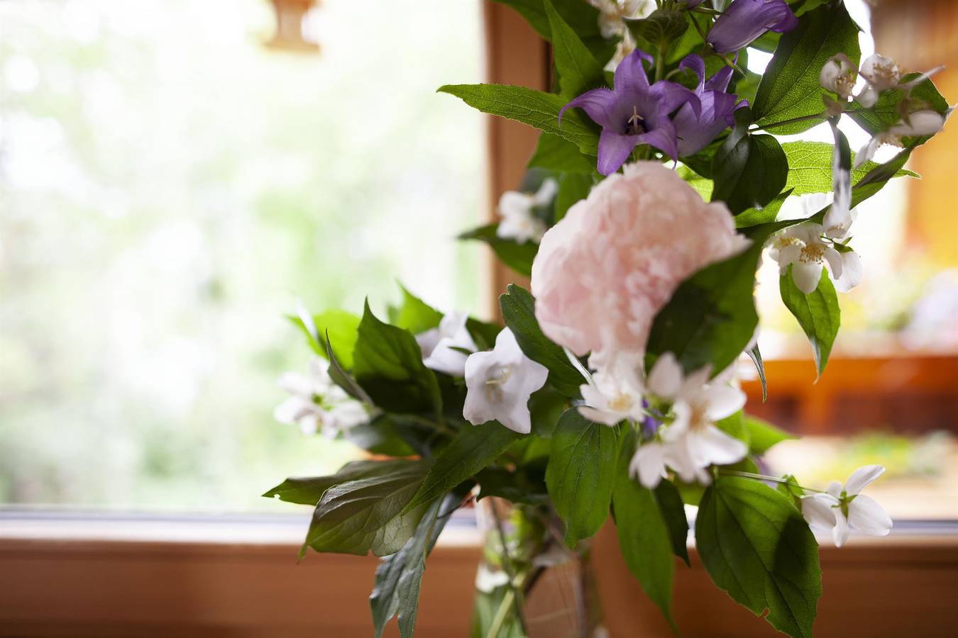 Ganze Ferienwohnung, Holz-Bio-Appartement Dachstein mit Infrarotsauna in Ramsau am Dachstein, Schladming-Dachstein