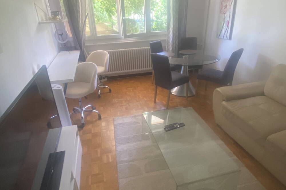 Appartamento intero, Premium Apartment • Downtown Geneva • Un • Lake • Wi-Fi Fiber • Parking • 3 People in Plainpalais, Ginevra