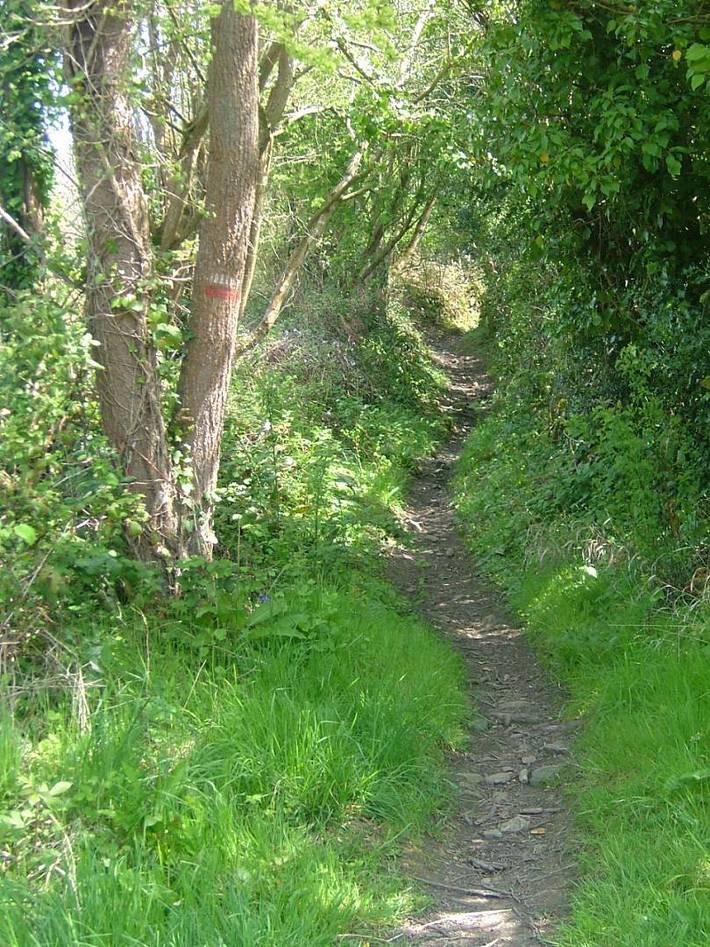 Gîte pour 2 personnes, avec jardin à Plestin-les-Grèves - 4