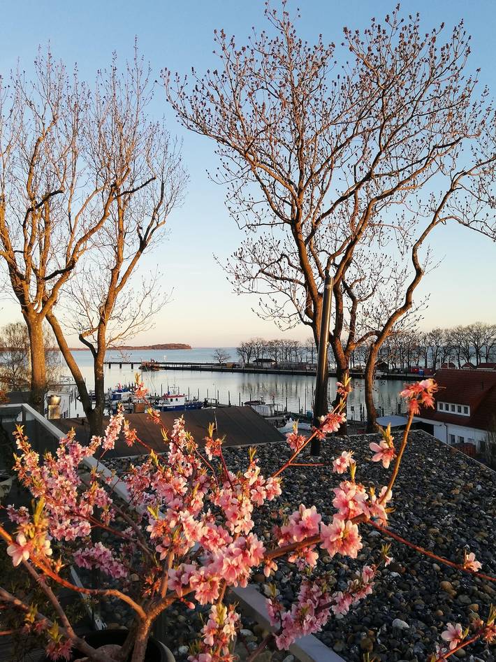 Ferienwohnung für 2 Personen, mit Seeblick und Balkon in Lauterbach (Rügen) - 3
