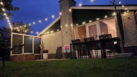 Ferienhaus für 4 Personen, mit Garten und Terrasse in Petten - 2