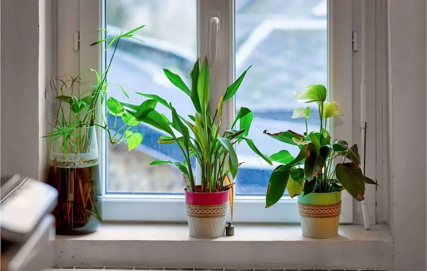 Apartamento entero, Apartamento encantador en Fécamp: 35 m² cerca de las playas in Fécamp, Región de Le Havre