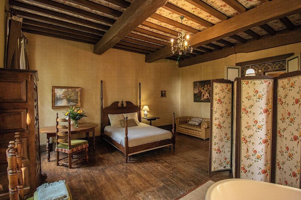 Vintage french mansion + swimming pool into a fenced park close to the river in Nérac, Nérac region