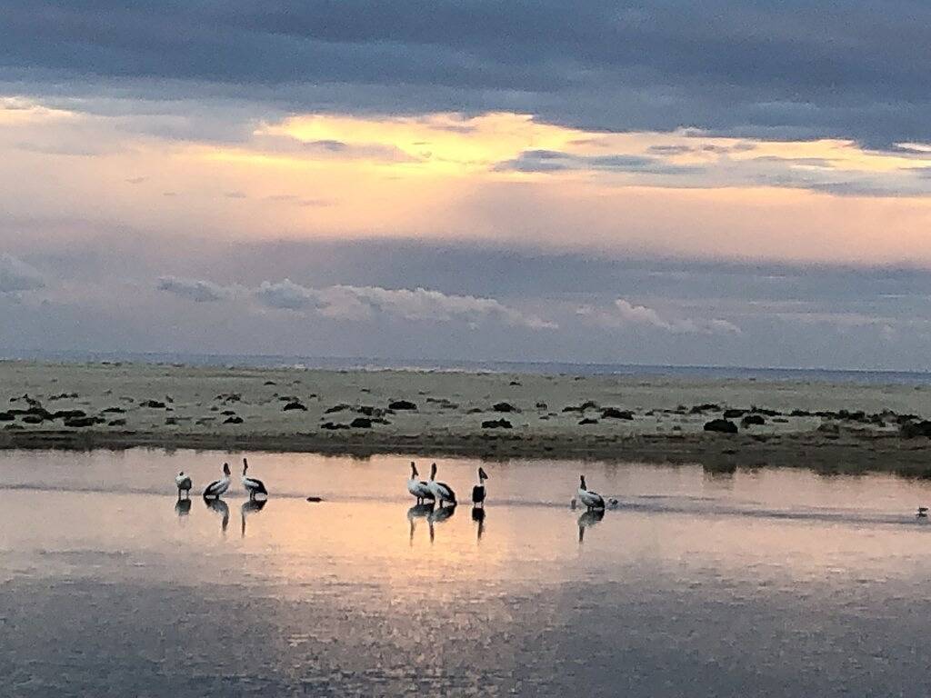 Ganze Wohnung, Parklea Waterfront Ferienwohnung in The Entrance, New South Wales