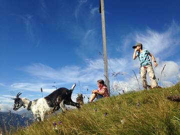 Chalet pour 16 Personnes dans Sumvitg, Alpes occidentales, Photo 4