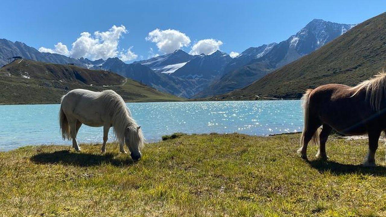 Geheel vakantieappartement, Ferienwohnung für 2 Personen (30 m²) in St. Leonhard im Pitztal in St. Leonhard im Pitztal, Bezirk Imst