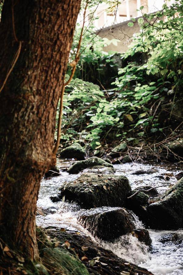Location de vacances pour 15 personnes, avec vue et jardin à Andlau - 3