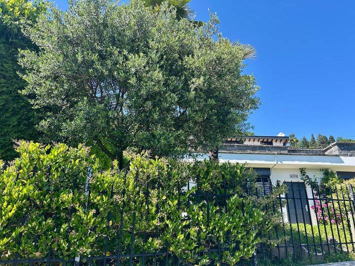 Ferienhaus für 4 Personen, mit Terrasse und Garten sowie Seeblick und Ausblick in Lugano - 2