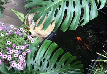 Vacation Home for 4 Guests in Upcountry Maui, Maui, Picture 3