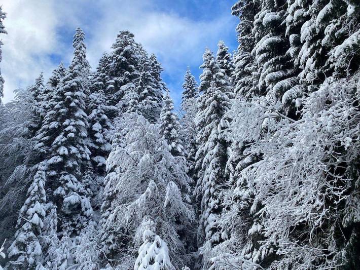 Gîte pour 4 personnes à Vionnaz