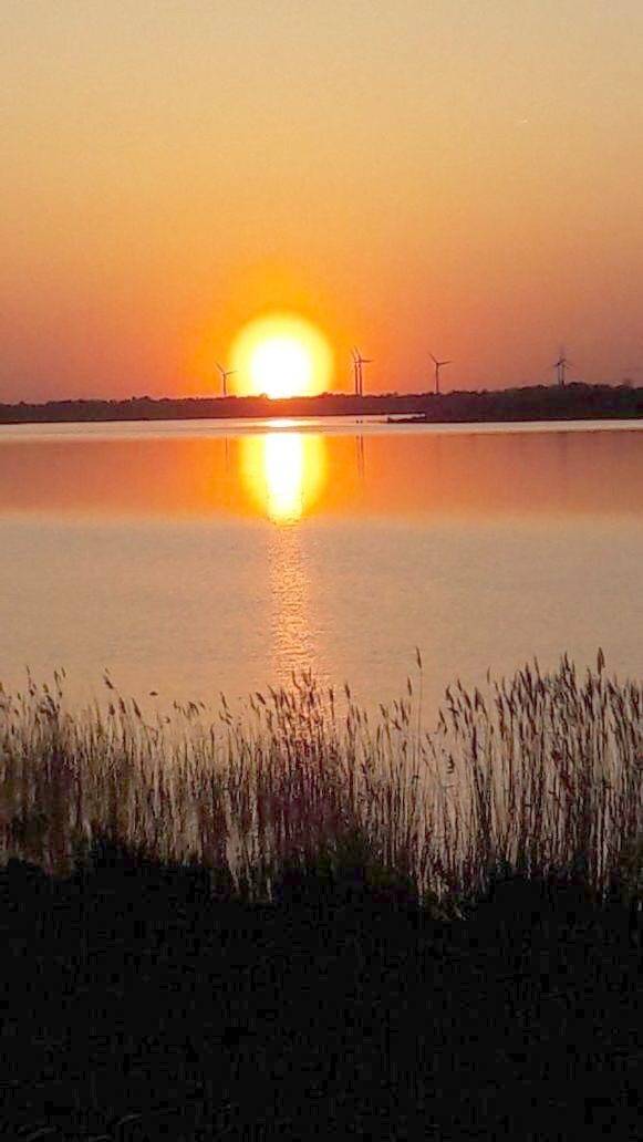Ferienwohnung für 2 Personen, mit Garten und Seeblick sowie Ausblick am Zwenkauer See - 2