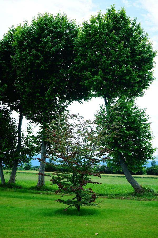 Double Room with Balcony in Coni, Province de Coni