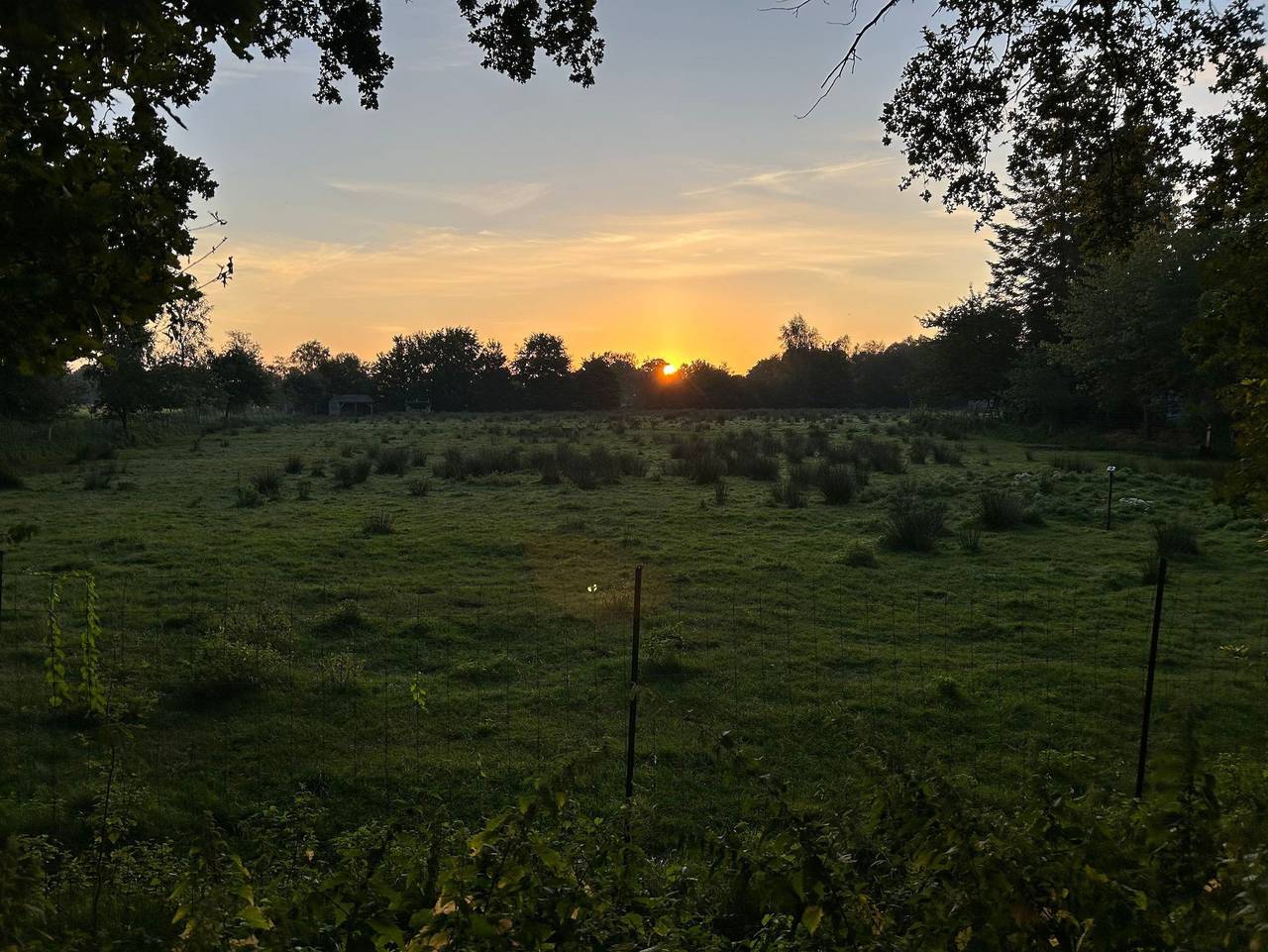 Meedehof Moorhausen, Wh Ziegenstall - Ferienwohnung Ziegenstall in Varel, Nordseeküste