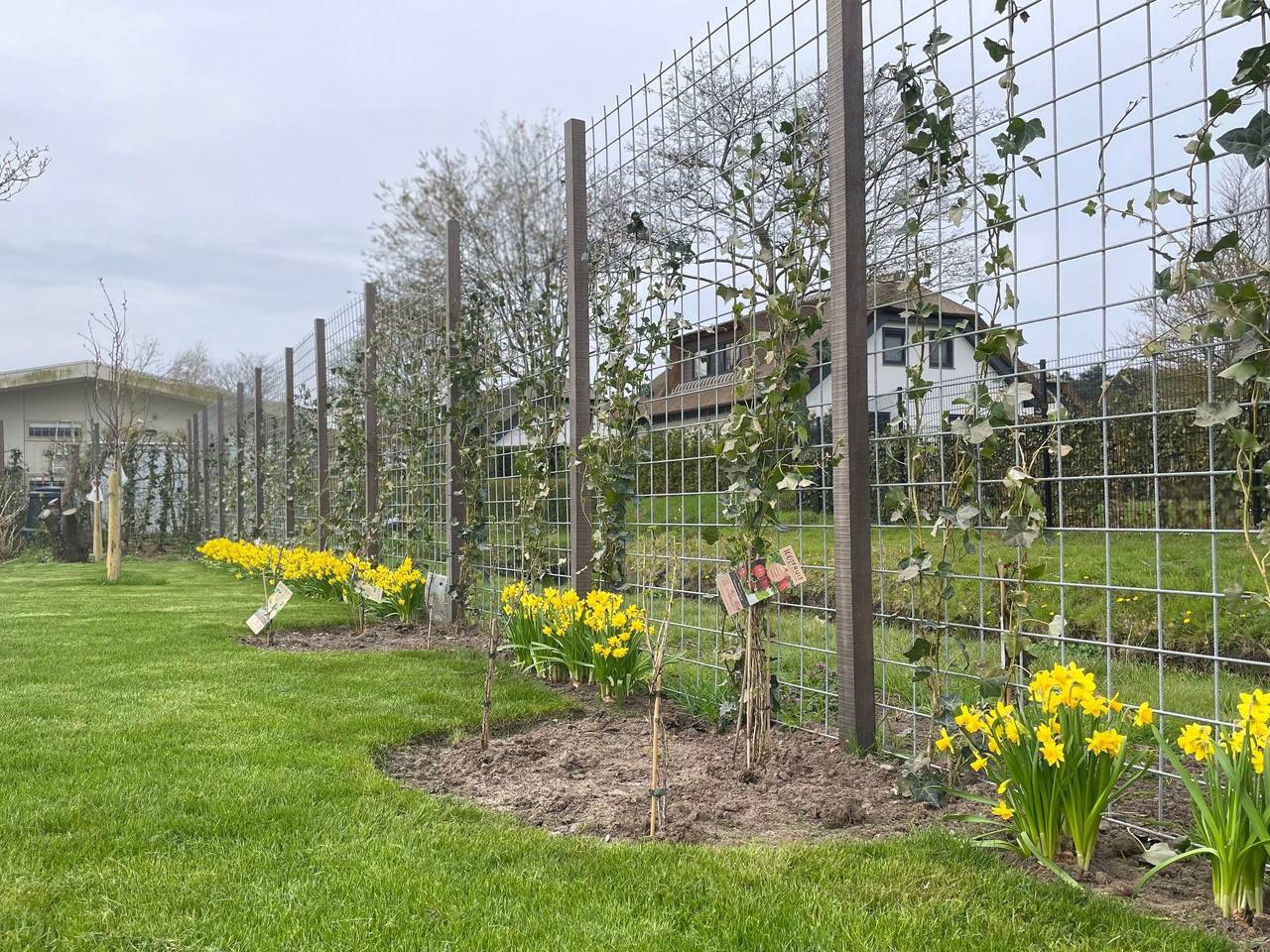 Marbriliante in Noordwijk, Niederländische Nordsee
