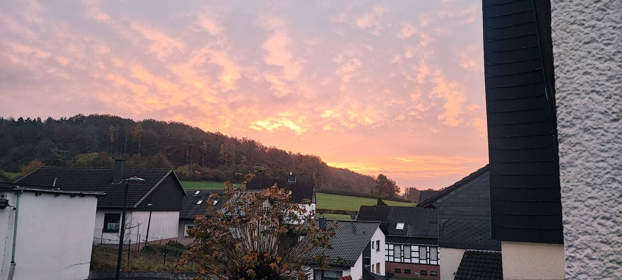 Ganze Ferienwohnung, Fewo Bergenrot Urlaub mit Hund in Arnsberg, Hochsauerlandkreis