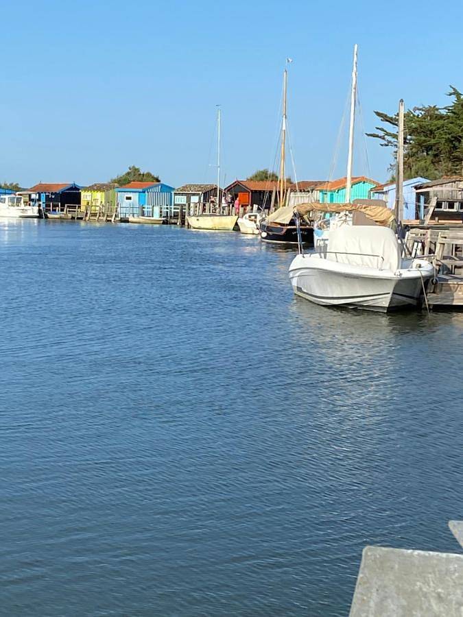 Location de vacances pour 2 personnes, avec vue et jardin à Mornac-sur-Seudre - 2