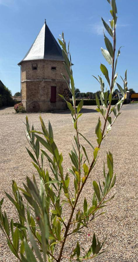 Maison d’hôte pour 5 personnes, avec terrasse dans la Somme