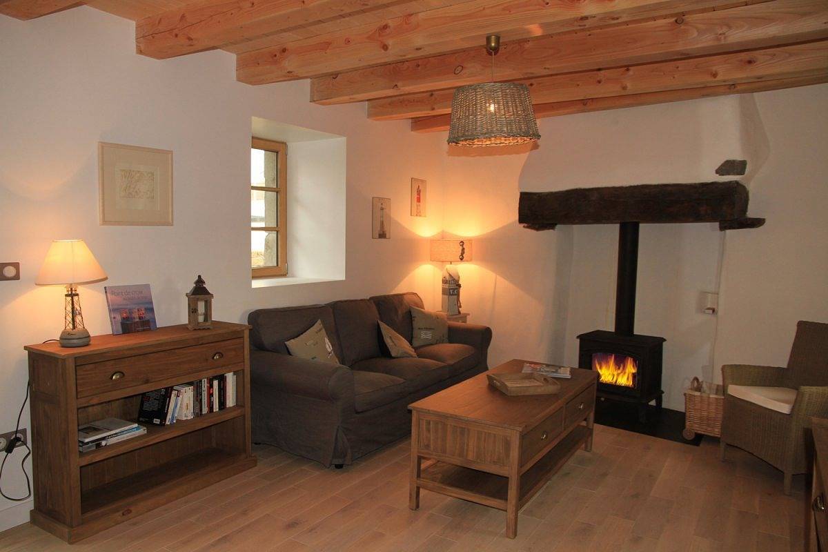 Les cormorans in Plougasnou, Ceinture Dorée