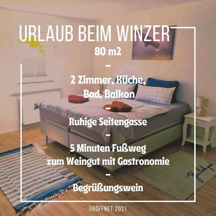 Ferienwohnung für 3 Personen, mit Balkon und Terrasse in Klingenmünster - 2