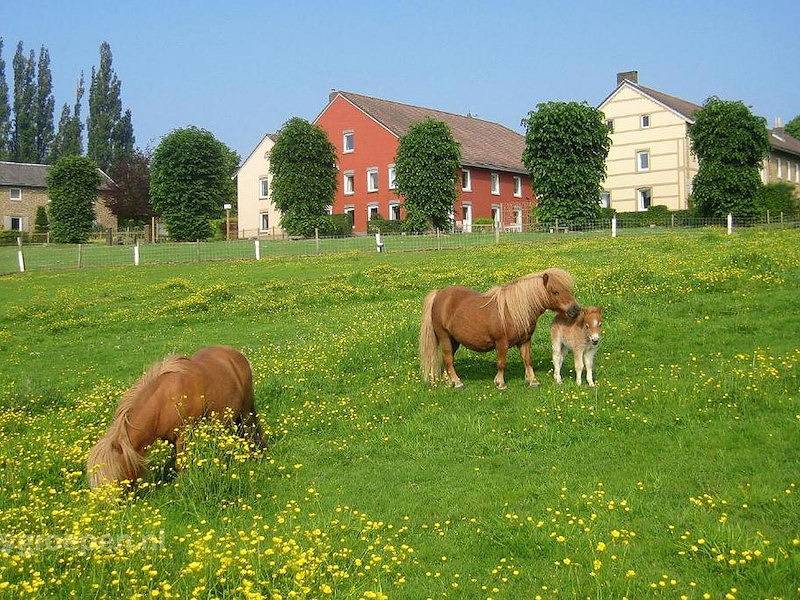 Groepsaccommodatie Gulpen in Gulpen, Limburg