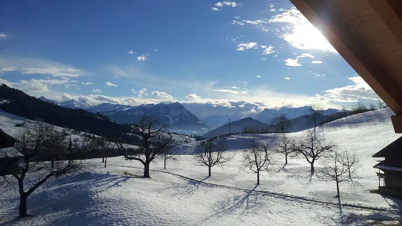 Ferienhaus für 6 Personen (80 m²) in Sattel in Sattel, Schwyz