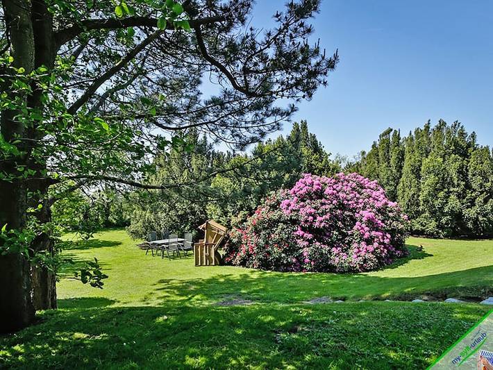 Ferienhaus für 4 Personen, mit Garten, mit Haustier - 1