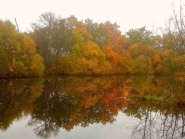 Albergue para 4 personas, con terraza y jardín además de vistas y vistas al lago en Cuenca del Guadarrama - 4