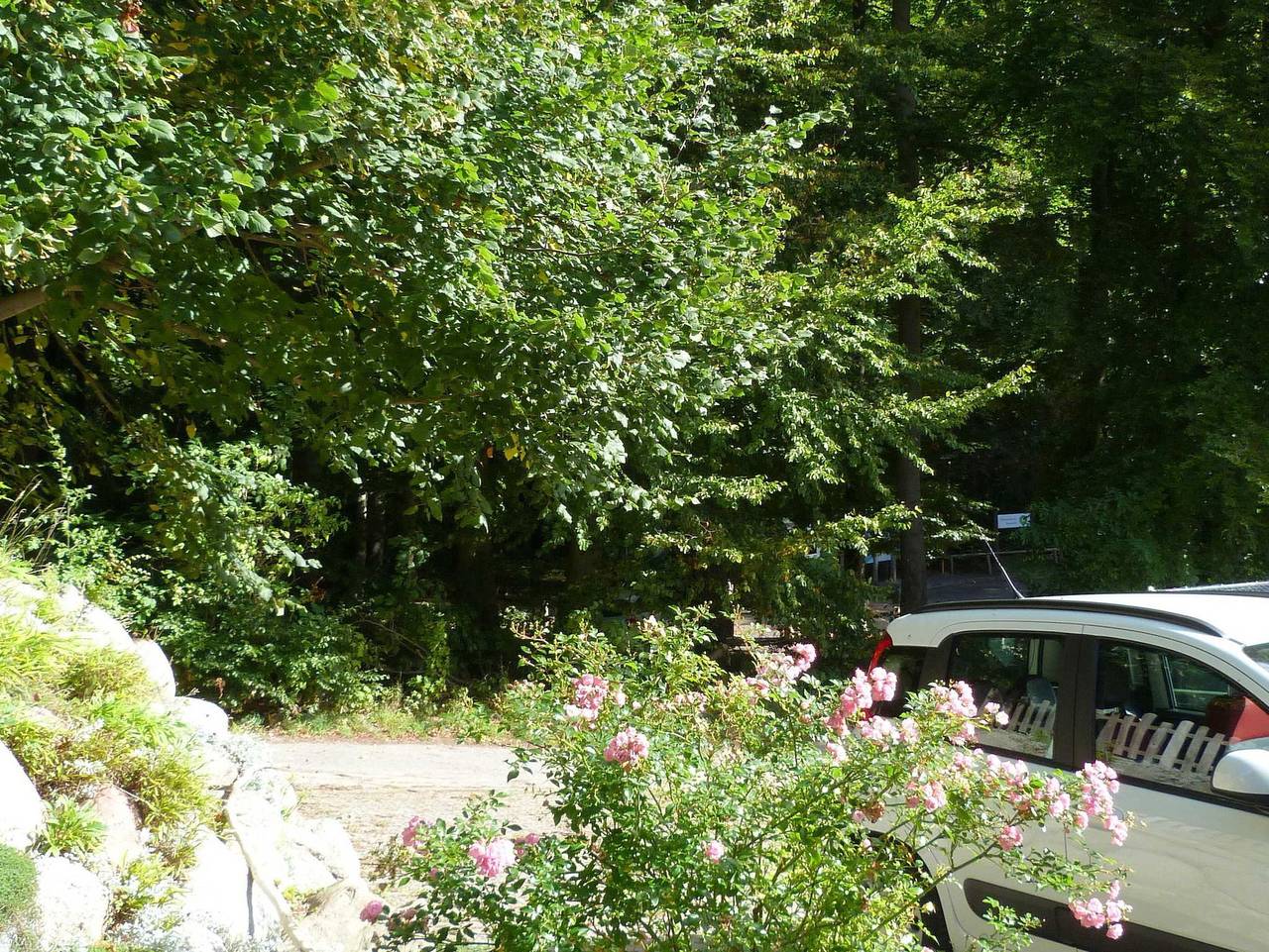 Ganze Ferienwohnung, Haus zur Piratenschlucht in Sassnitz, Nationalpark Jasmund