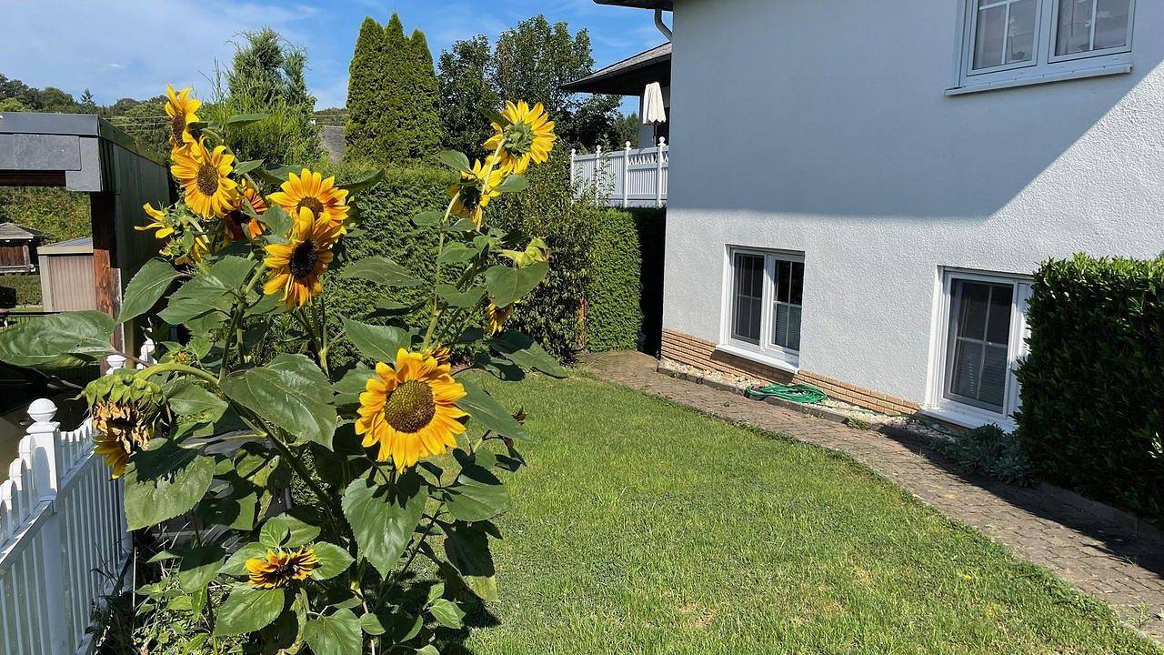 Ganze Ferienwohnung, Ferienwohnung für 2 Personen (46 m²) in Tiefenbach (Rheinland-Pfalz) in Nahetal