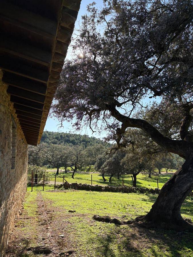 Chalet para 6 personas, con piscina además de jardín y piscina para niños en Provincia de Sevilla - 2