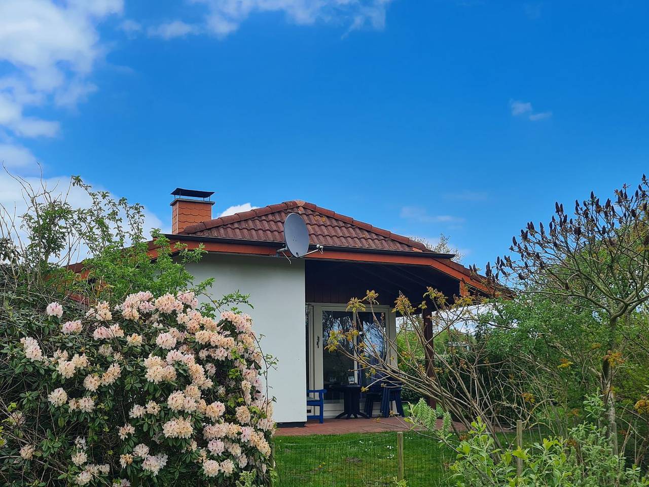 Haus Austernfischer - Urlaub mit Hund am Meer in Sehestedt (Jade), Jade