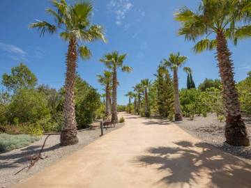 Ferienhaus in Sa Pobla, Mallorca Norden für 4 