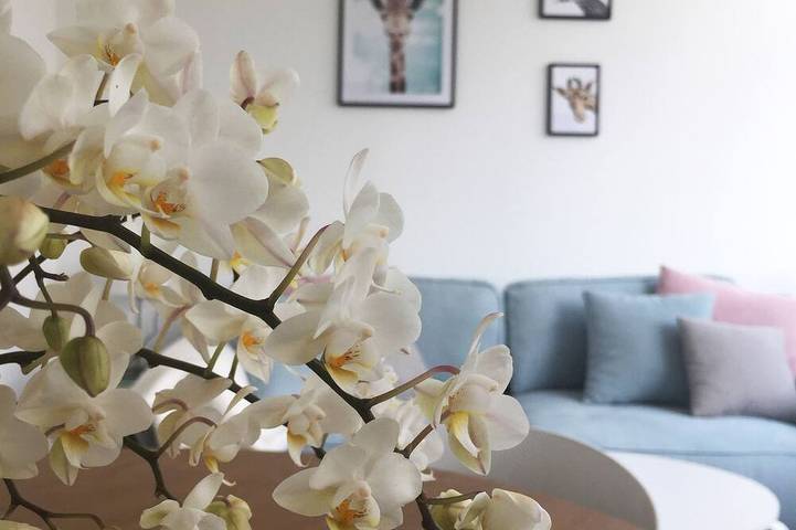 Ferienwohnung für 4 Personen, mit Garten - 1