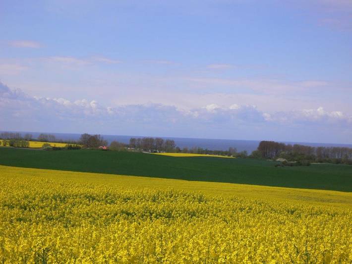 Ferienhaus für 8 Personen, mit Terrasse und Sauna sowie Ausblick in Bastorf - 4