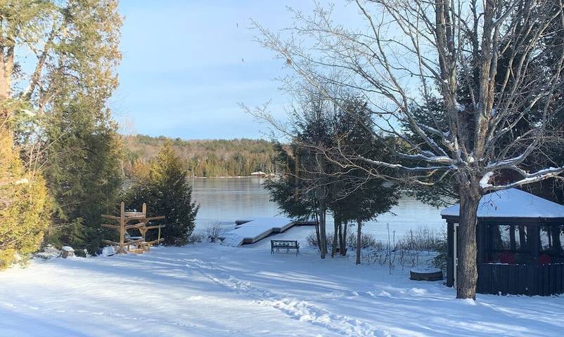 Cabin rentals and lodges for 6 people, with garden and terrace as well as hot tub in Muskoka