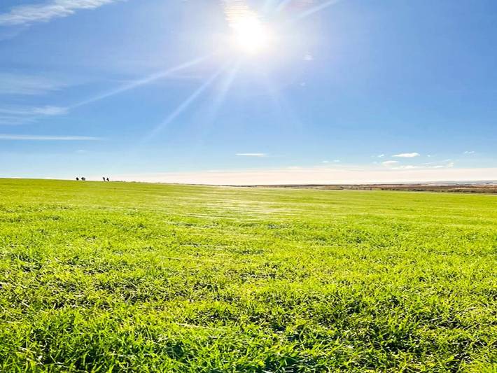 Ferienhaus für 16 Personen, mit Terrasse und Garten sowie Pool in Højer - 4