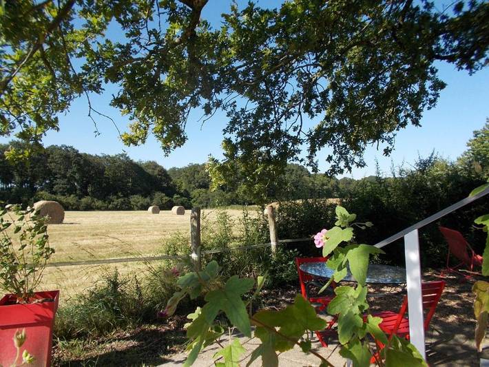 Maison de vacances pour 2 personnes, avec jardin ainsi que vue et piscine en Indre-et-Loire - 3