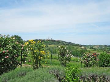 Villa for 10 People in San Gimignano, Siena Province, Photo 4