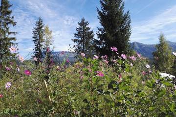 Gîte pour 9 personnes à Seyne-les-Alpes