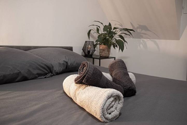 Gîte pour 2 personnes, avec jardin et jacuzzi, animaux acceptés à Nemours - 3