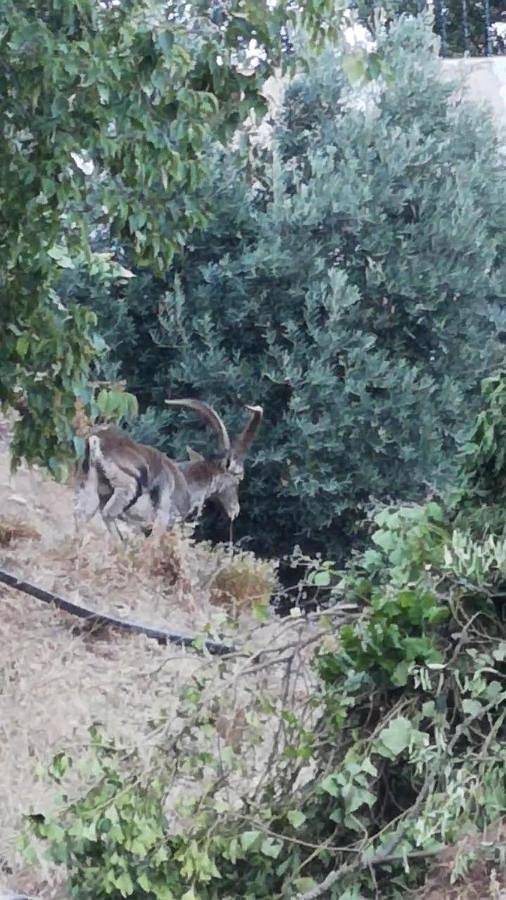 Casa rural para 6 personas, con balcón y vistas en La Iruela - 3