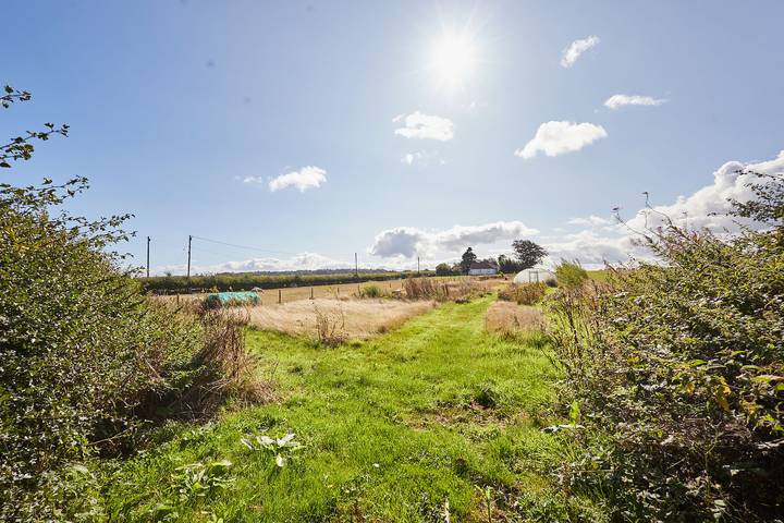 Host & Stay | West Loanend Cottage in Northumberland