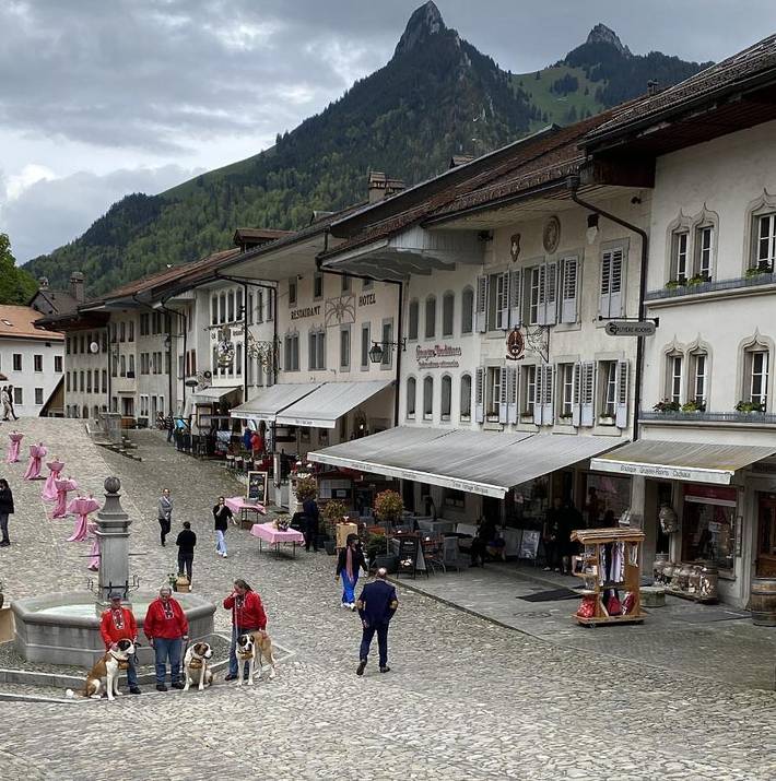Maison d’hôte pour 2 personnes, avec Terrasse dans Canton de Fribourg