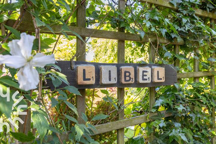 Chalet für 2 Personen, mit Terrasse in Zeeland - 3